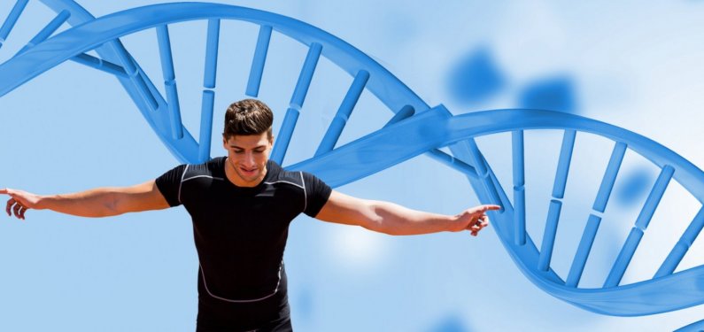 Генетика и ваша форма: есть ли взаимосвязь?
