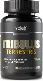Tribulus Terrestris - фото 1