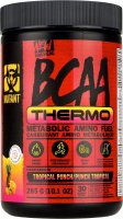 BCAA Thermo (Тропический пунш, 285 гр)