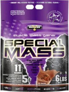 Гейнер Special Mass Gainer (Шоколад, 2730 гр)