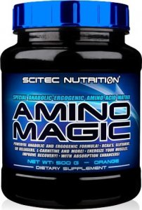 Amino Magic (Апельсин, 500 гр)