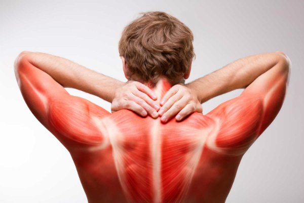 Восстановление мышц после тренировок: советы и рекомендации